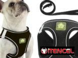 ✅️🐶🐾JUEGO DE PECHERAS Y CORREA PARA MASCOTAS 📲53902244