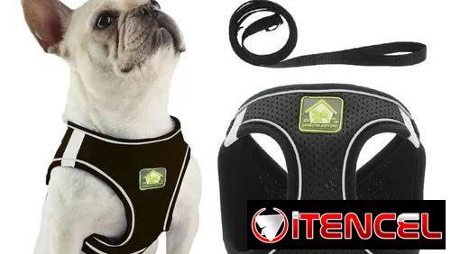 ✅️🐶🐾JUEGO DE PECHERAS Y CORREA PARA MASCOTAS 📲53902244