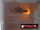 Haier doble temperatura 40mil