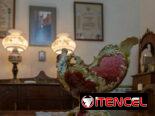 🌿 Hostal “Las Golondrinas” de 3 Habitaciones en Cienfuegos REF 1306