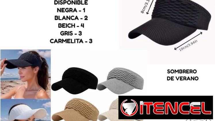 Viceras