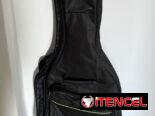 guitarra eléctrica con su funda