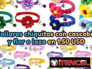 1935c4b0f5bd47cbd2f82357565add51170774e6a038765bc36398ae6988ad31