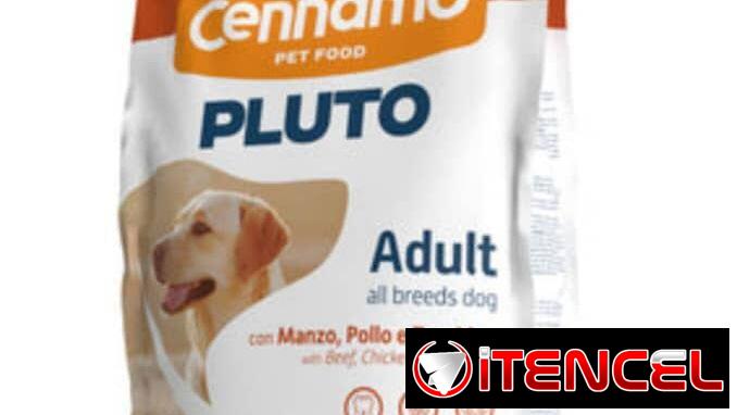 Pienso para perros y gatos