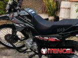 Moto Ava tigrito