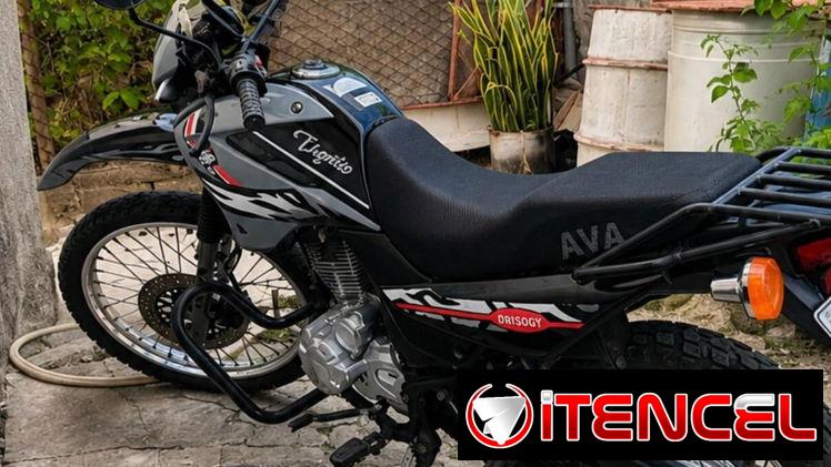 Moto Ava tigrito