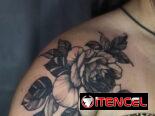 tattoo, tatuajes, tatuaje, tatu, estudio de tatuaje, ink