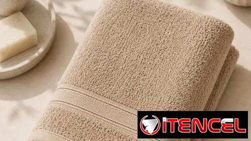 Toallas Cisne Blanco(CVV)