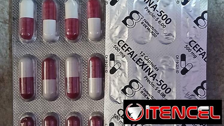 Cefalexina cápsulas FV 12/26 600$