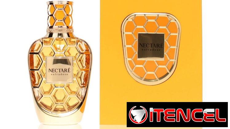 Perfumes Originales Importados. Diseñador, Árabe y Nicho.  Todo lo que imagines en nuetra perfumería. Claar Essenza.