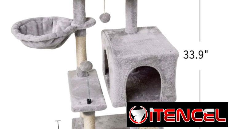 RASCADORES PARA GATOS 🐱  DOG&CAT