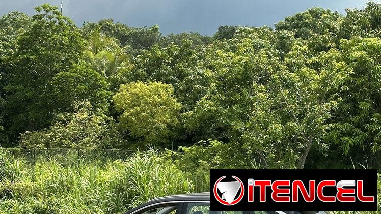 Alquiler de auto con chofer en La Habana