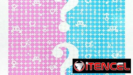 Cortina de Cuadros para Revelación de Sexo   (TPEx)