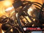 Guirnalda de Luces LED Exterior 10 bombillos (CV)