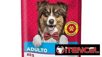 Comida para perros adultos