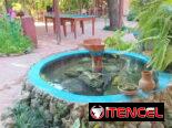 Cod.Z 🌴 Piscina para Pasadía : ¡Fechas Disponibles en Junio! Con Todo Incluído y Ofertas de Comida 🏊‍♂️🍗