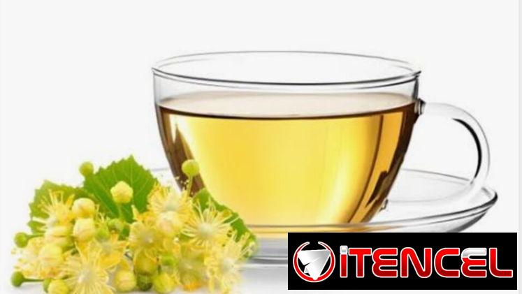 🌿Tilo 😴 Domicilio gratis en Plaza