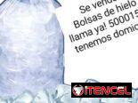 Bolsas de hielo. Las que usted pida para su negocio, por cantidad y a domicilio