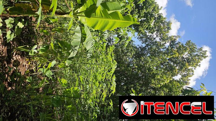 En venta finca en jovellanos con casa de mampostería