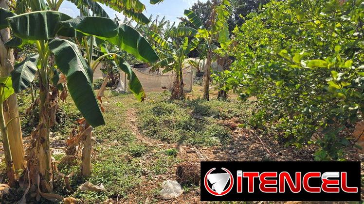 Terreno con 1000m² en Miramar (T-1)