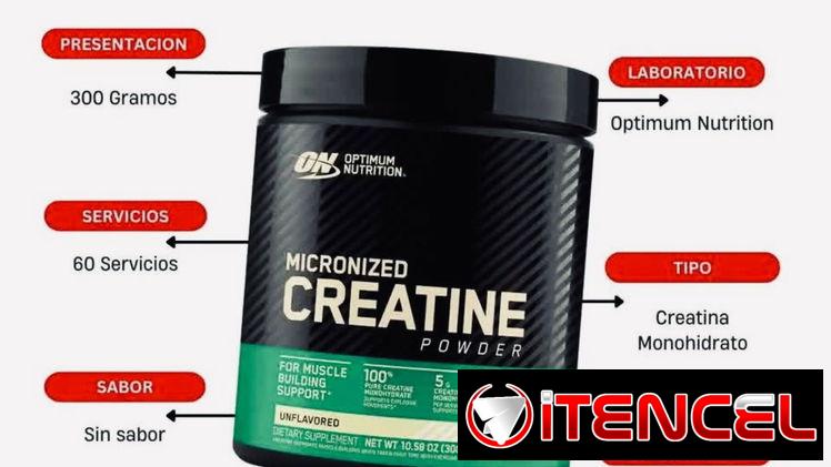 Creatina On nutrition