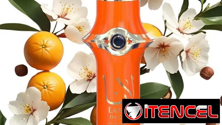 Perfumes Originales. Todos los perfumes a tu disposición.  Diseñador ,Árabe y Nicho. En Stock y por encargos.