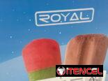 Nevera marca ROYAL exibidora tipo heladera