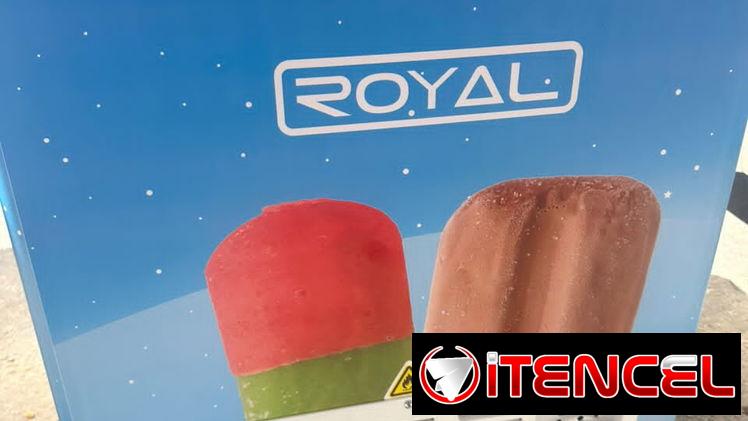 Nevera marca ROYAL exibidora tipo heladera