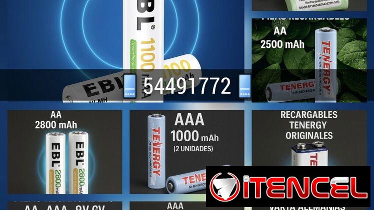 Pilas Recargables y Cargadores