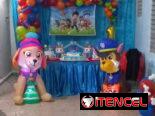 Cumpleaños temáticos