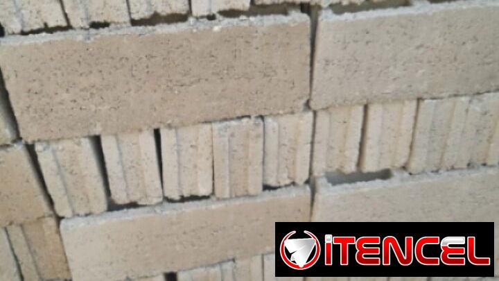 Bloque criollo