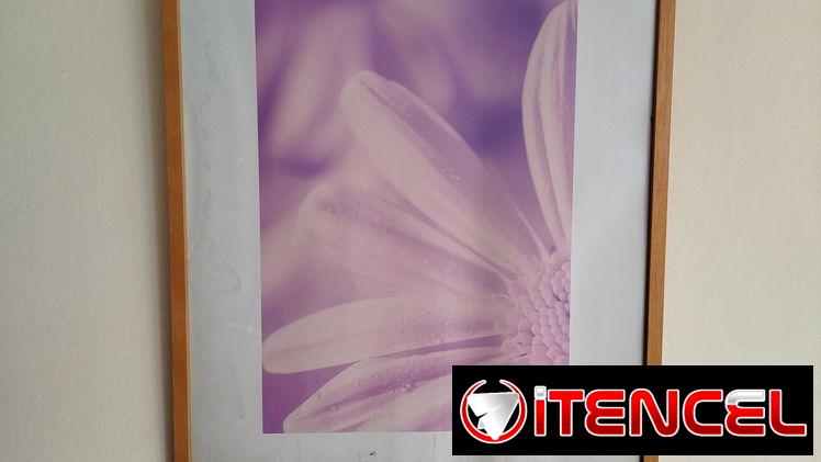 Cuadros con marco de madera y cristal antireflejo