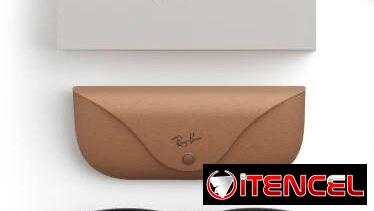 Gafas inteligentes Meta