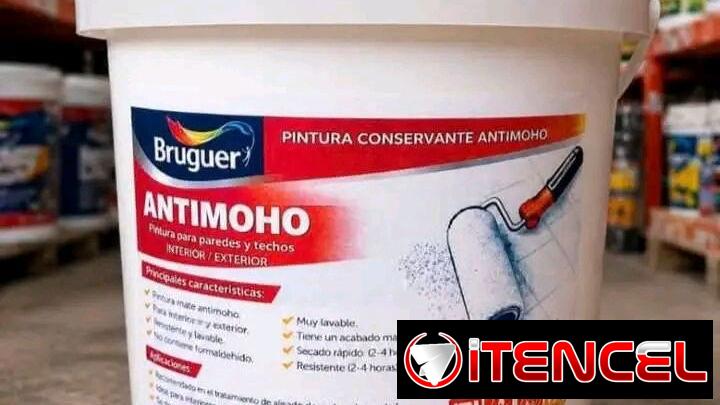 PINTURA VINIL ANTIMOHO PARA PAREDES EXTERIORES Y INTERIORES