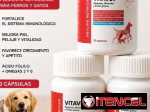 2393db3351b986d8a76431e1de1b9838e4058790d0431c4acb297948cdf9bb37