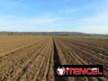 Vendo Finca en San Jose de los Ramos, Colon, Matanzas con 13.4 hectáreas de Tierra completa para Siembras, tiene pozo