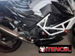 *MOTO DE GASOLINA DEPORTIVA FURIA 250CC