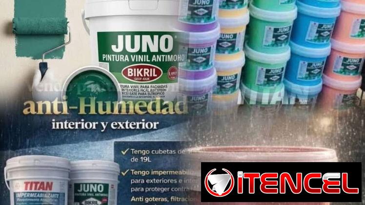 pintura