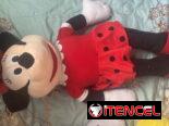 Mickey y Minnie
