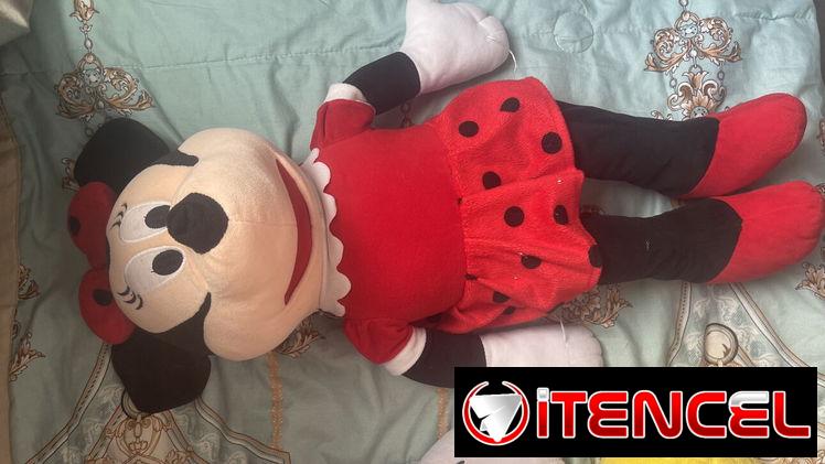 Mickey y Minnie