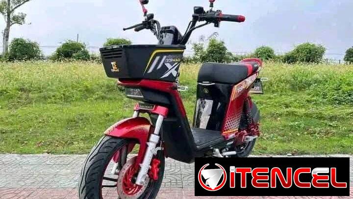 Topmaq evolution 2026