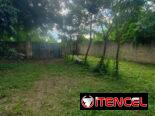 Venta de finca en la lisa me ajusto bastante