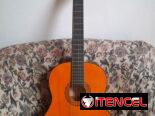 Guitarra