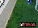 Plantas artificiales.  Césped, Hiedras
