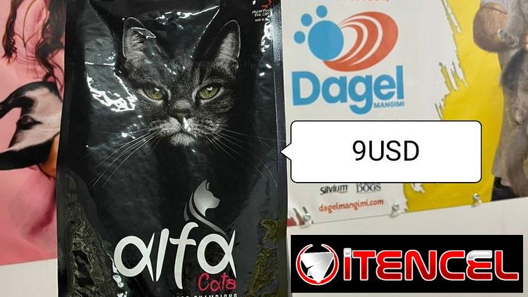 Pienso para gatos