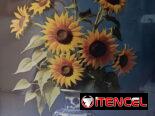 Cuadro pintura en aerosol 5900cup Medidas 50*60cm