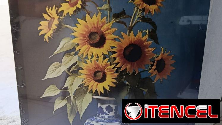 Cuadro pintura en aerosol 5900cup Medidas 50*60cm