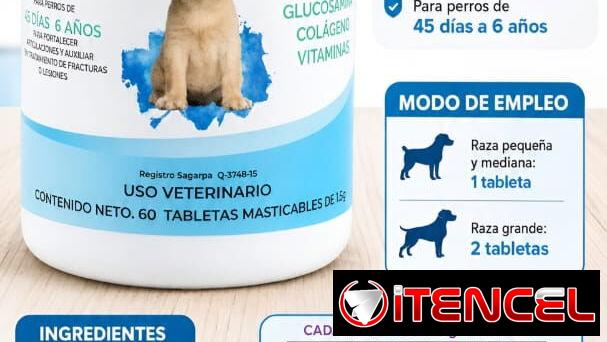 Glucosamina con Condoitrina y Multivitaminas para perros cachorros