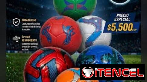 Balones de futbol y Voleibol: Balón del actual mundial-clásicos