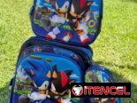 🎒 Mochilas con ruedas y sin ruedas para todas las edades serv de mensajería disponible en Ciudad Habana